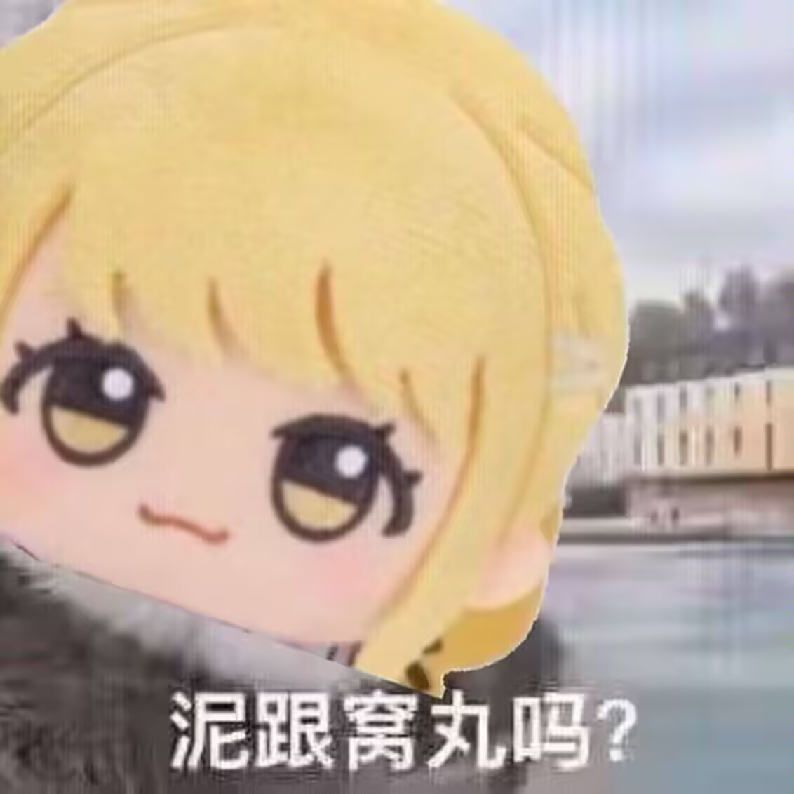 large picture of the cover